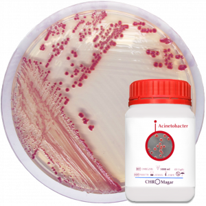 Хромогенная среда CHROMagar Acinetobacter 
