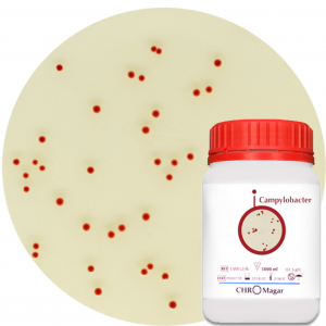 Хромогенная среда CHROMagar Campylobacter