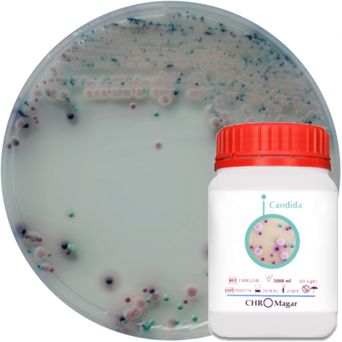 Хромогенная среда CHROMagar Candida Хромогенная среда CHROMagar Candida