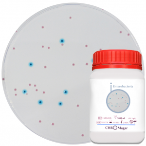 Хромогенная среда CHROMagar Enterobacteria