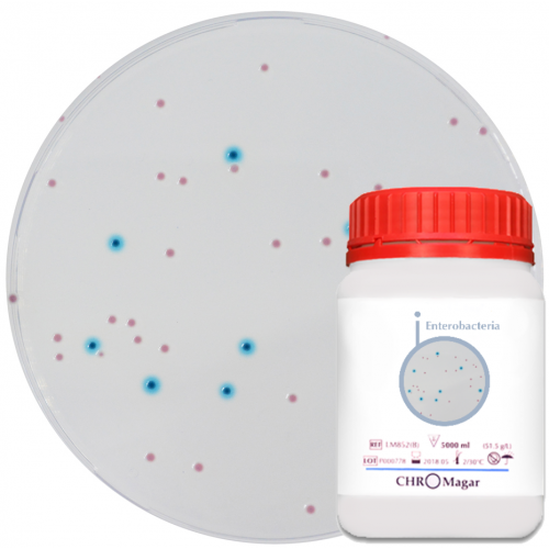Хромогенная среда CHROMagar Enterobacteria Хромогенная среда CHROMagar Enterobacteria