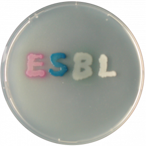 Хромогенная среда ESBL