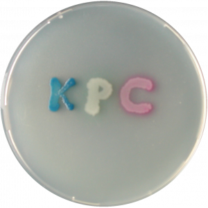 Хромогенная среда KPC