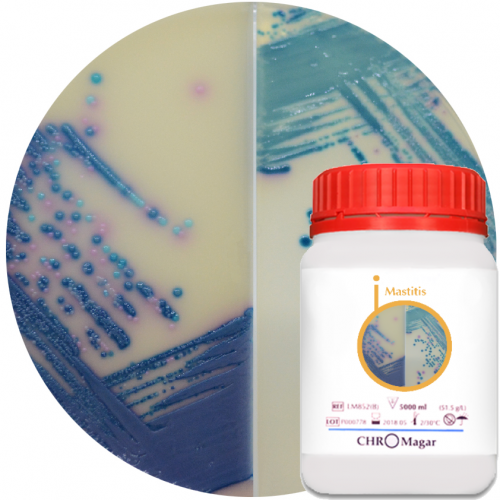 Хромогенная среда CHROMagar Mastitis Хромогенная среда CHROMagar Mastitis
