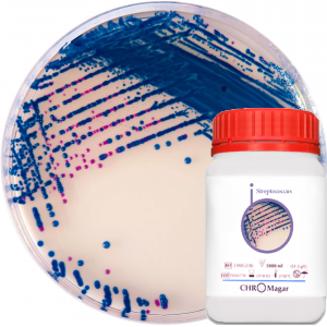 Хромогенная среда CHROMagar Streptococcus